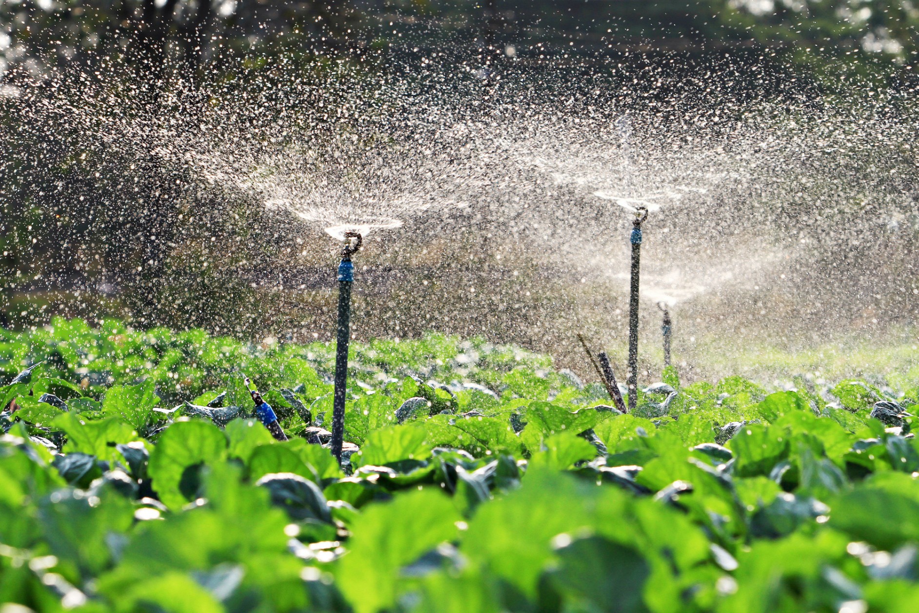 Agriculture pipes